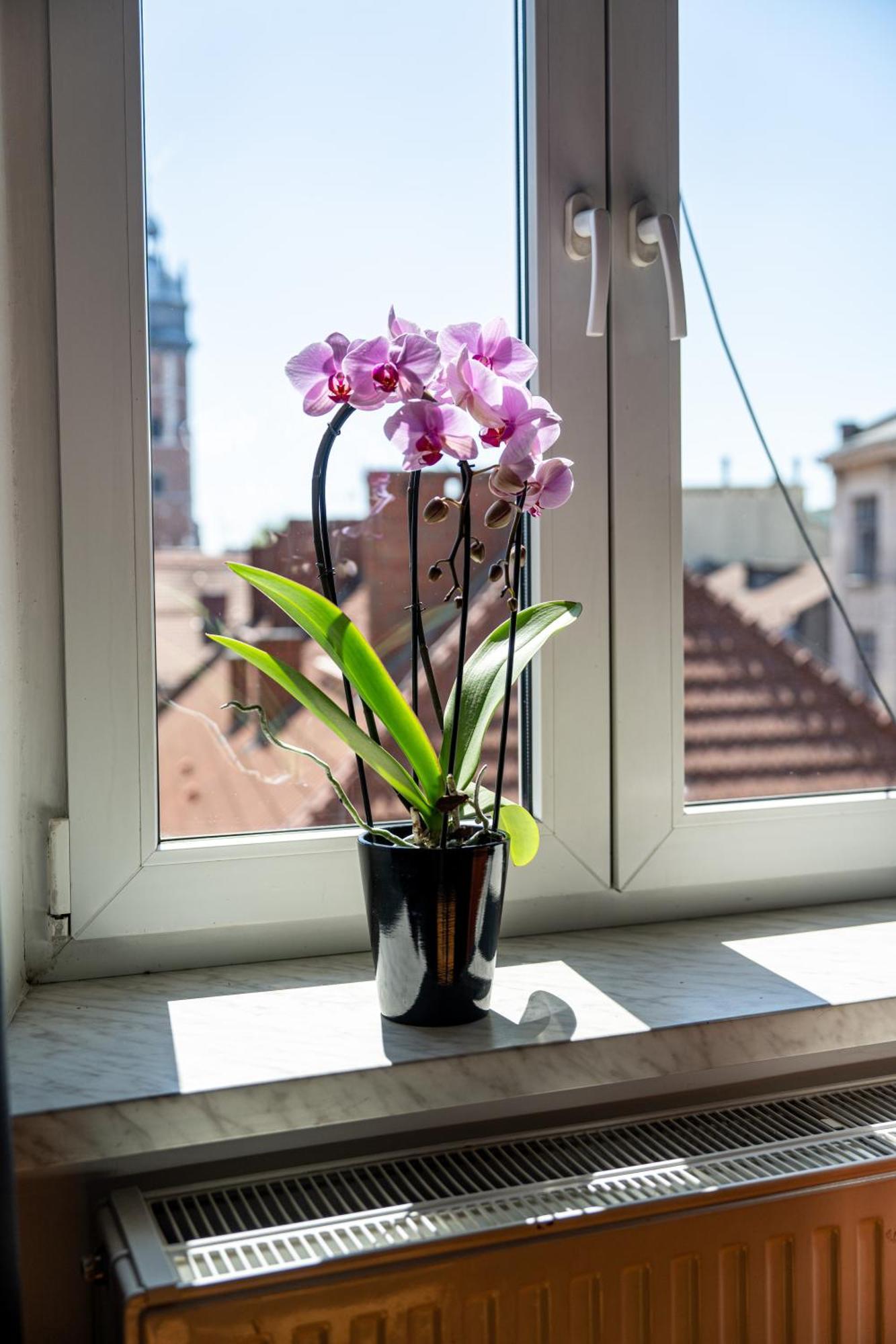 Vista View Apartment Kraków Eksteriør billede
